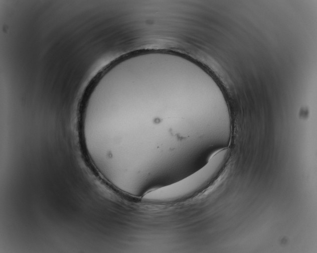 X0000103321122200809261130