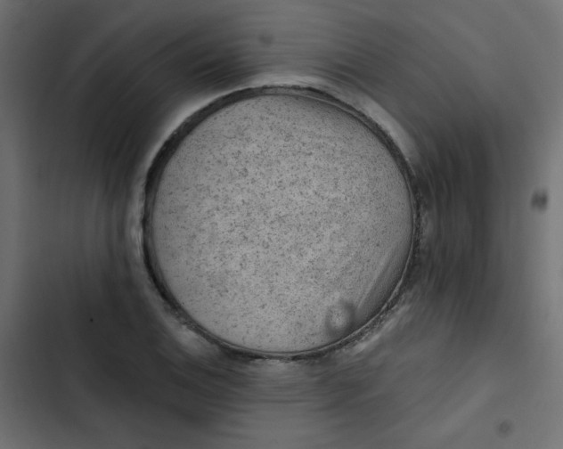 X0000103321124200809261130