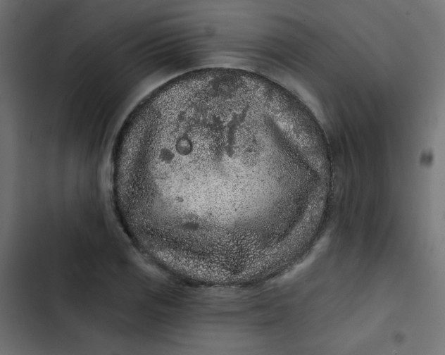 X0000103321125200809261130