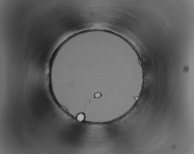 X0000103321126200809261130