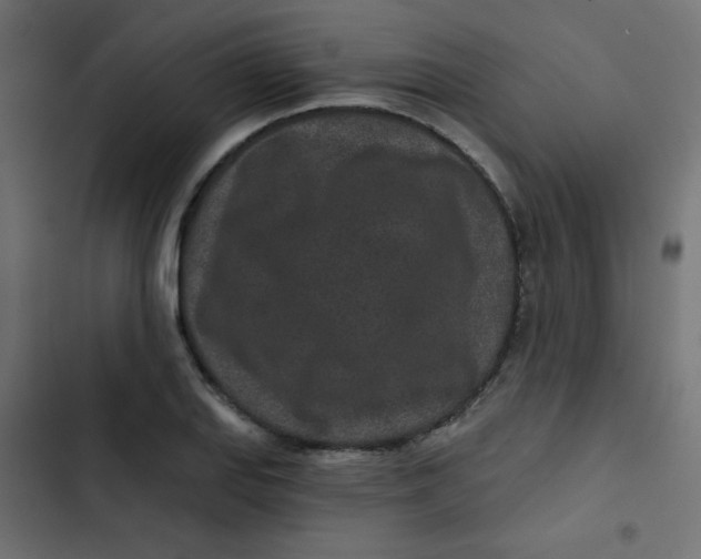 X0000103321127200809261130