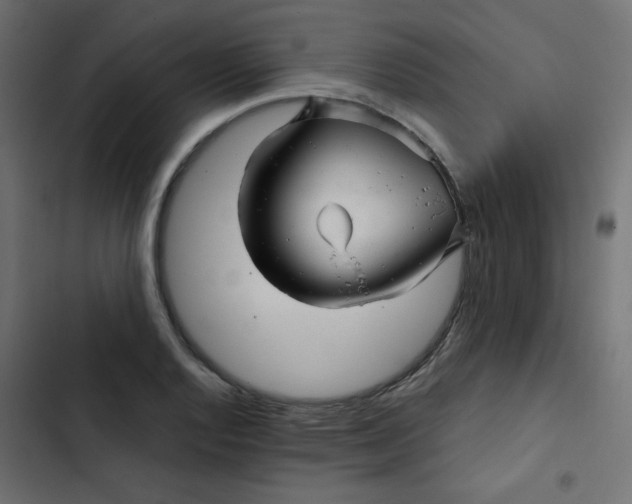 X0000103321128200809261130