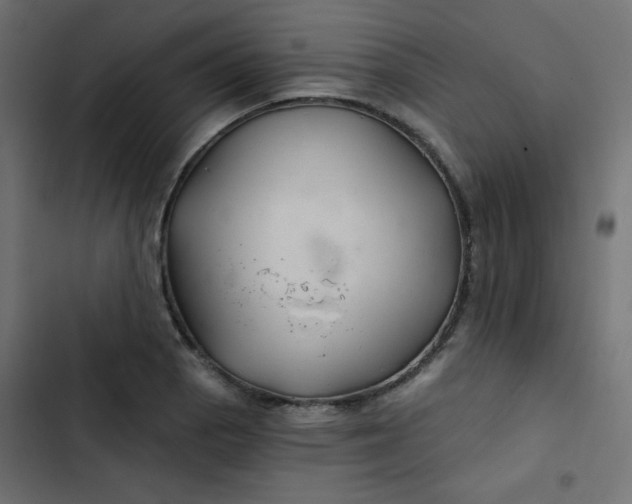 X0000103321129200809261130