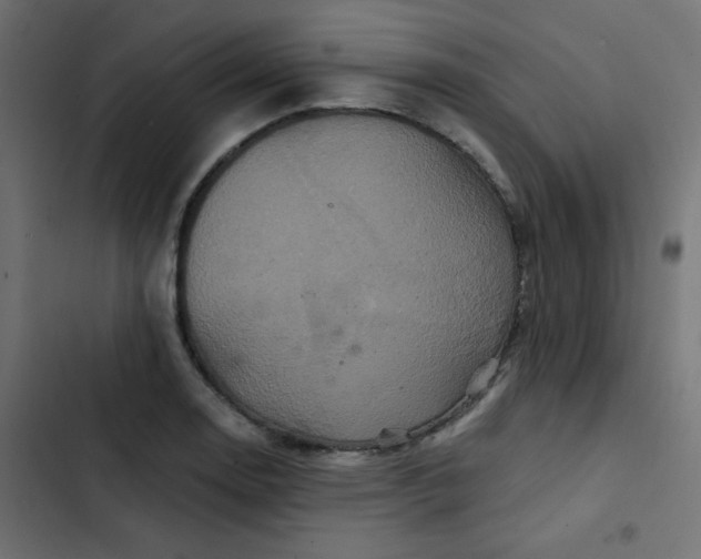 X0000103321130200809261130