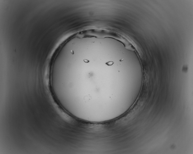 X0000103321131200809261130