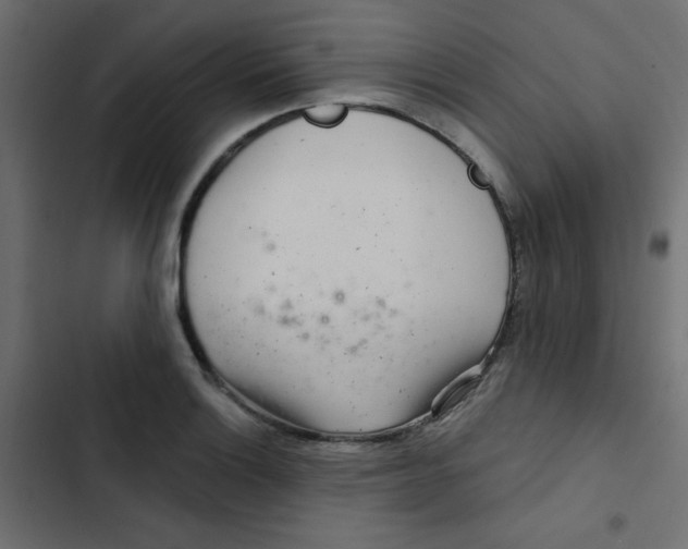 X0000103321132200809261130