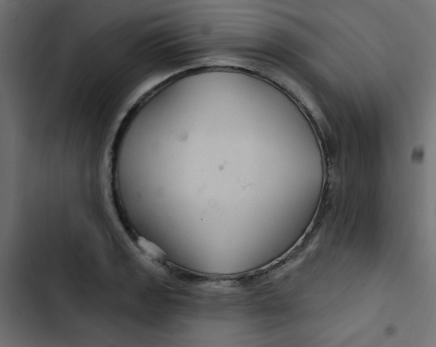 X0000103321133200809261130