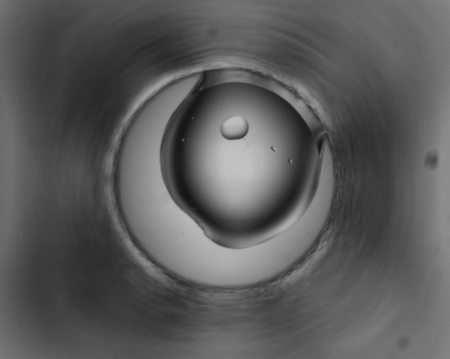 X0000103321134200809261130