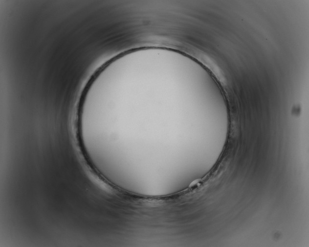 X0000103321136200809261130