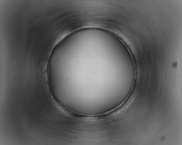 X0000103321137200809261130