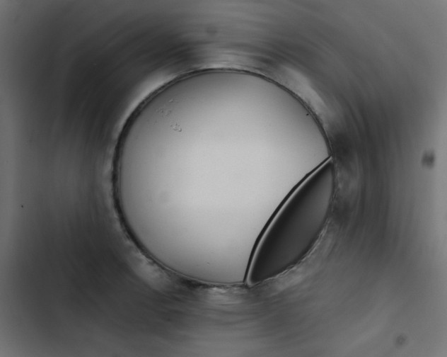 X0000103321138200809261130