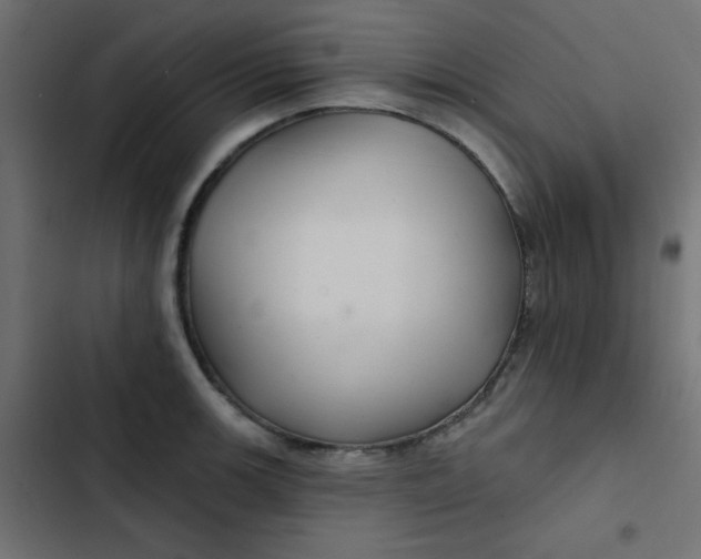 X0000103321139200809261130