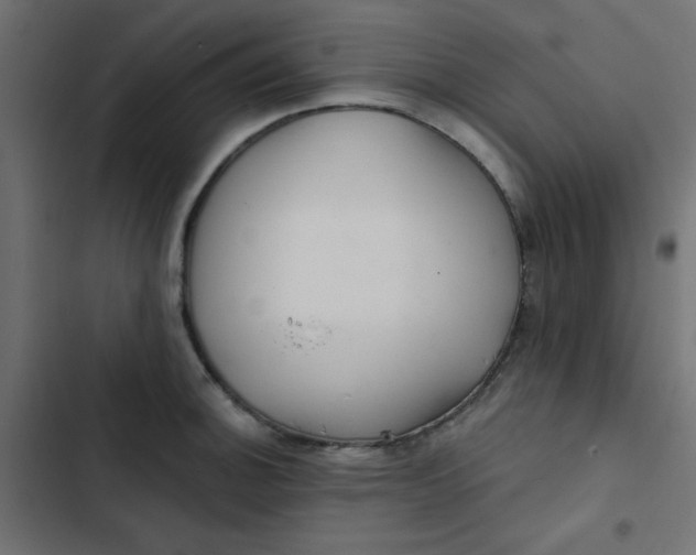 X0000103321140200809261130