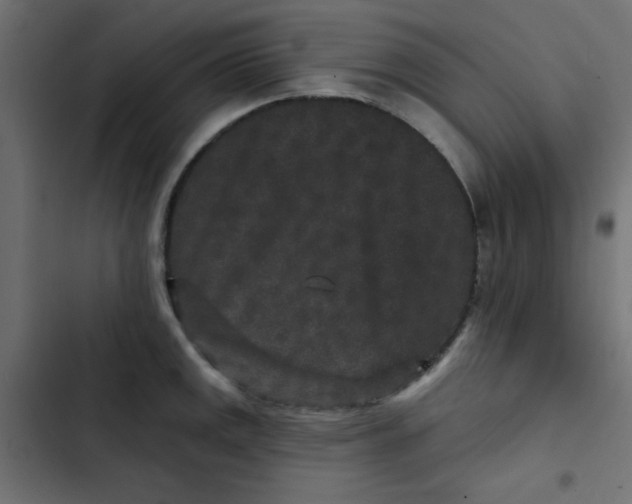 X0000103321141200809261130