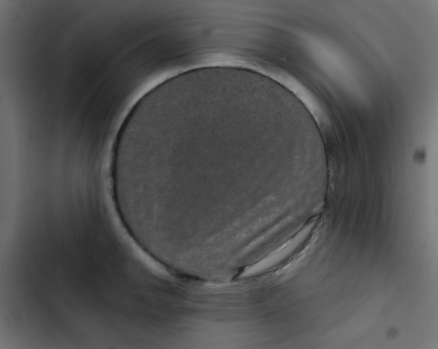 X0000103321142200809261130