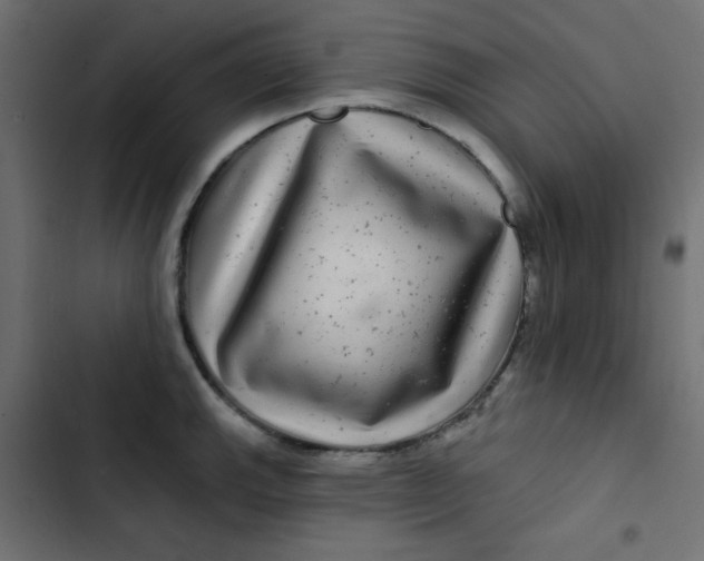 X0000103321143200809261130