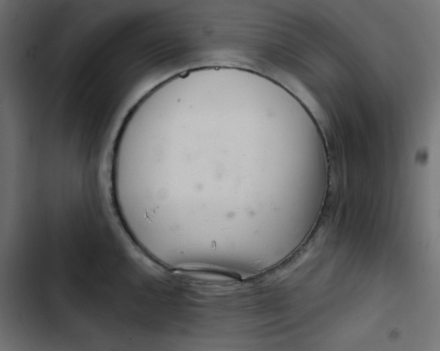 X0000103321144200809261130