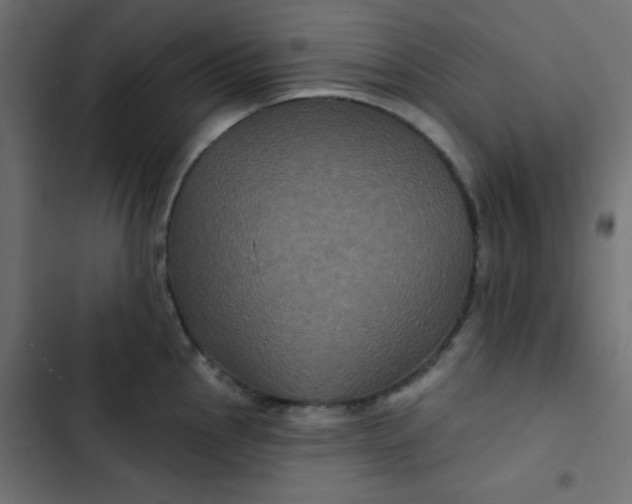 X0000103321145200809261130