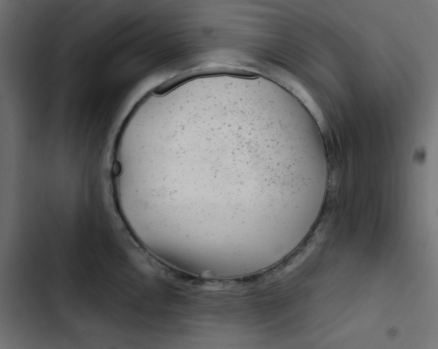 X0000103321146200809261130