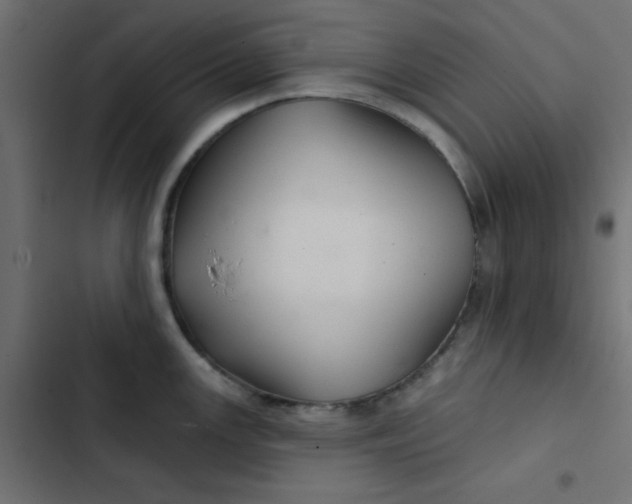 X0000103321147200809261130