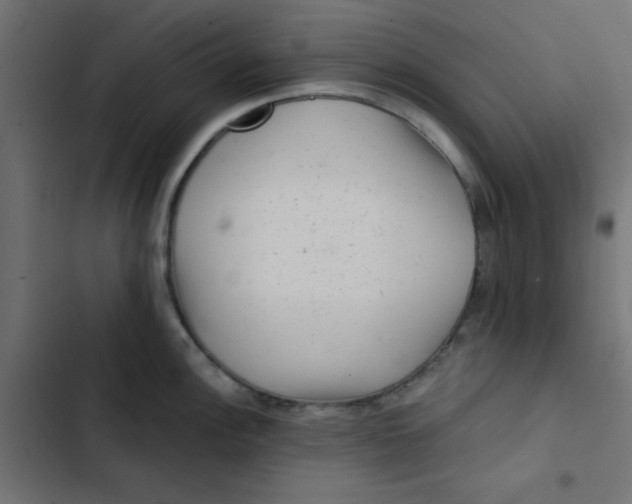 X0000103321148200809261130