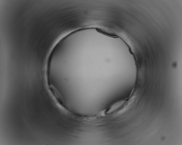 X0000103321149200809261130