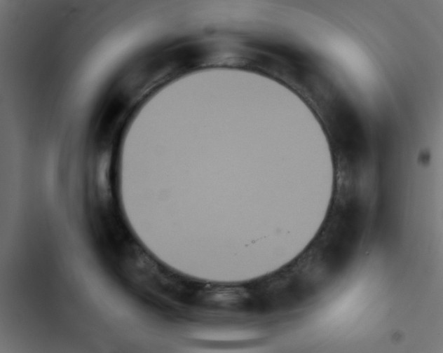 X0000103321150200809261130