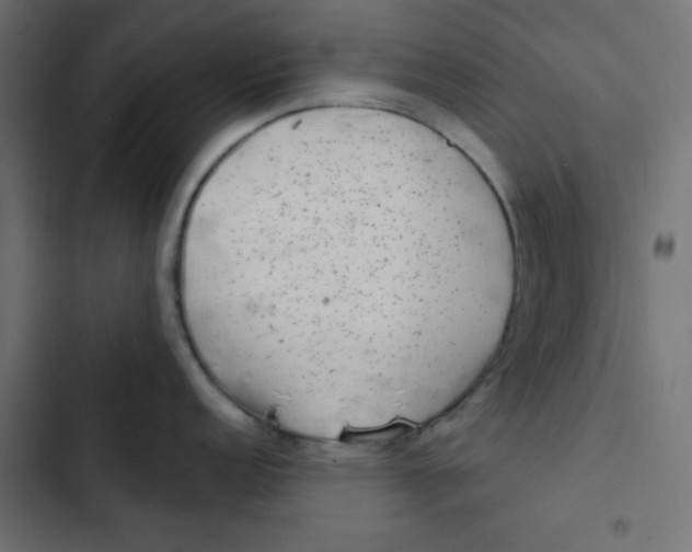 X0000103321152200809261130