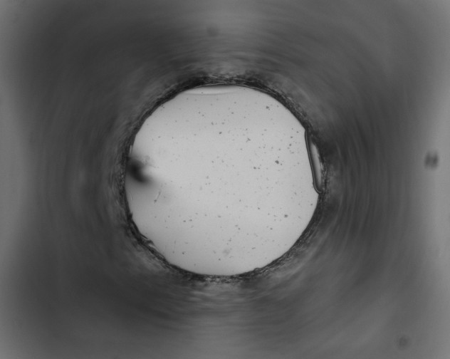 X0000103321153200809261129