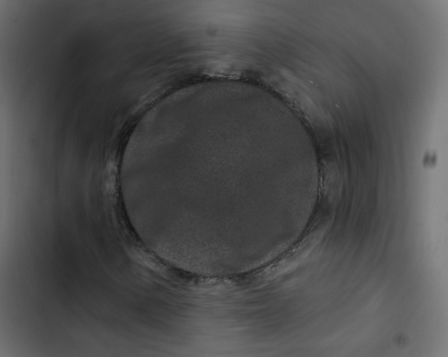 X0000103321154200809261129