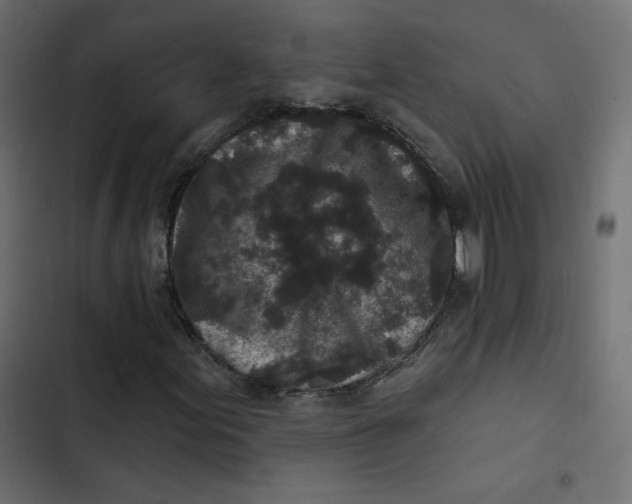 X0000103321155200809261129