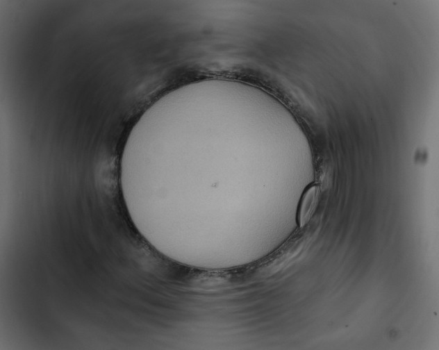 X0000103321156200809261129