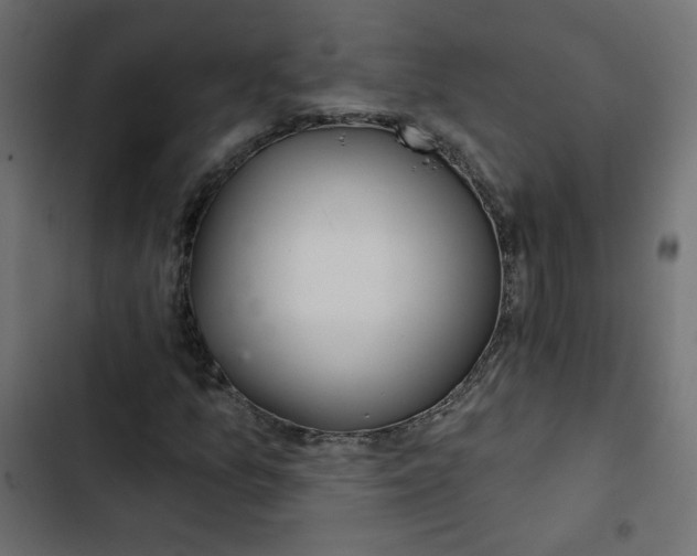 X0000103321157200809261129