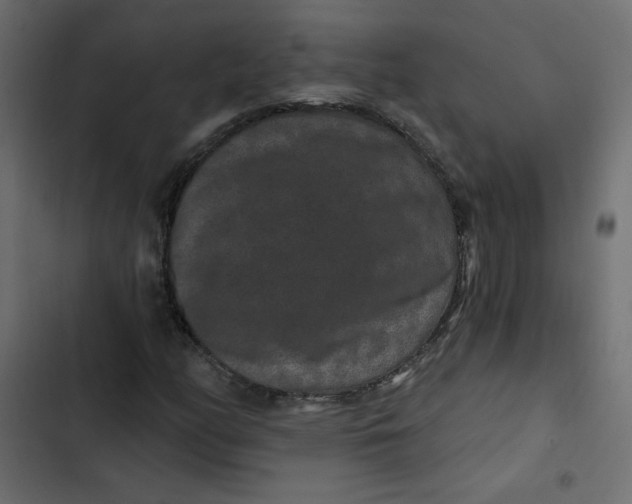 X0000103321158200809261129