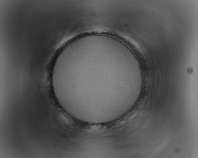 X0000103321160200809261129