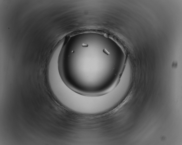 X0000103321161200809261129