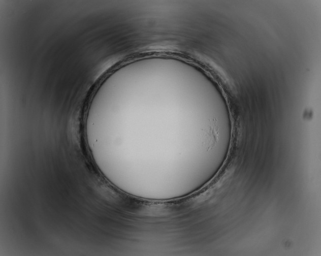 X0000103321162200809261129