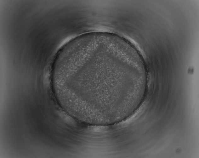 X0000103321163200809261129