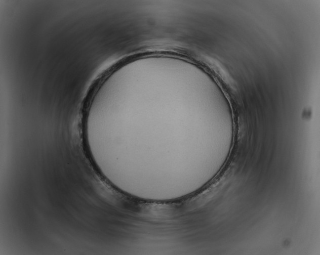 X0000103321164200809261129