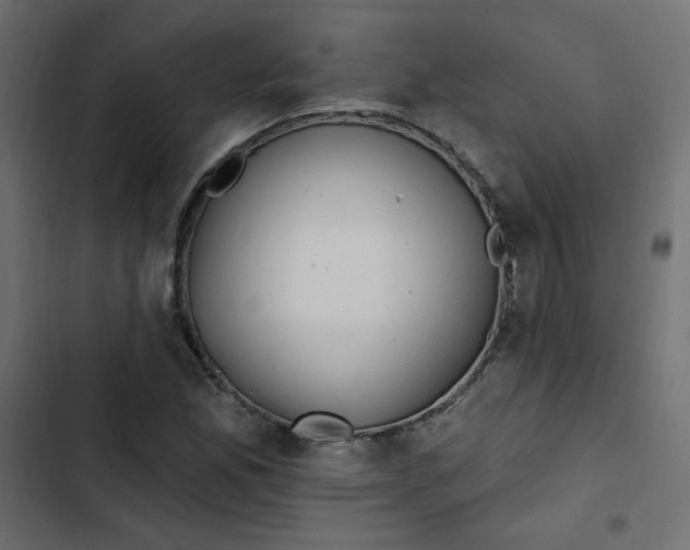 X0000103321165200809261129