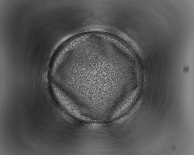 X0000103321166200809261129