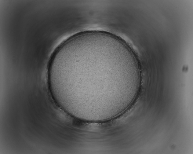 X0000103321167200809261129