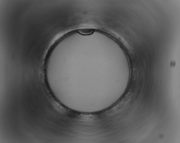 X0000103321168200809261129