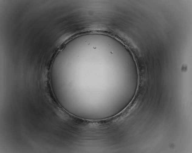 X0000103321169200809261129