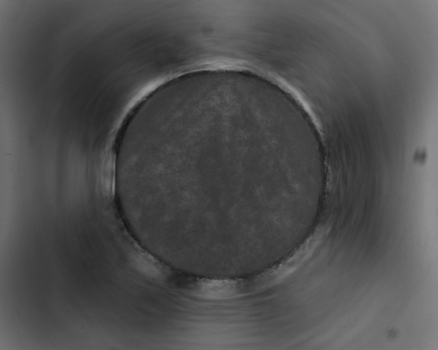 X0000103321171200809261129