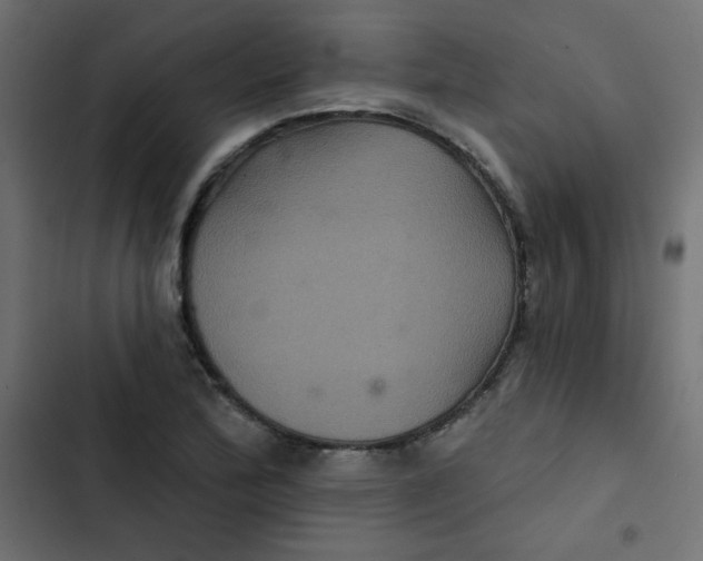 X0000103321172200809261129