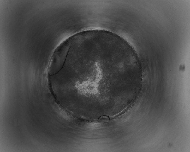 X0000103321173200809261129