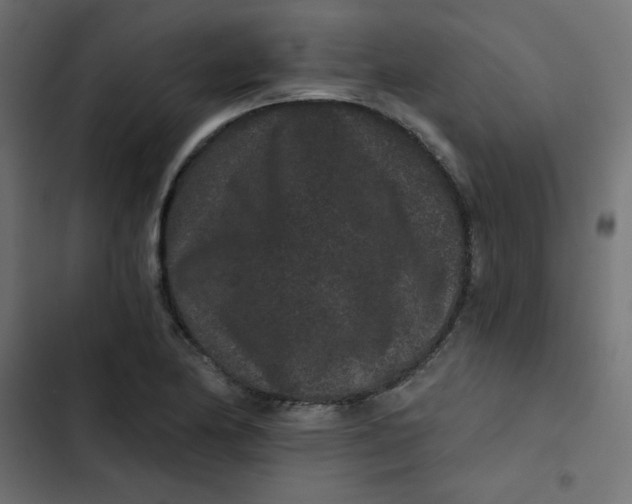 X0000103321174200809261129