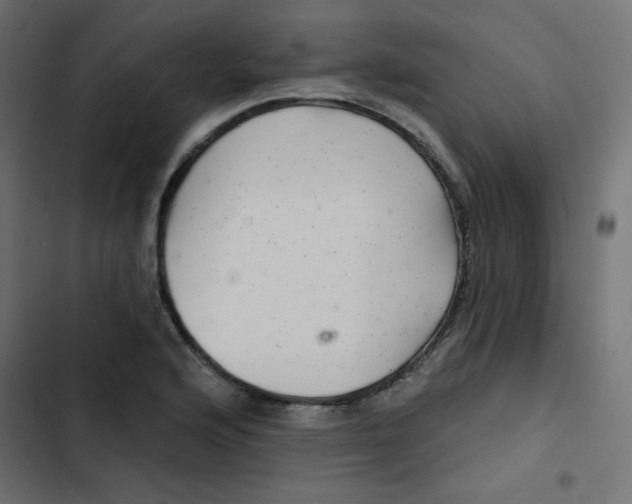 X0000103321176200809261129