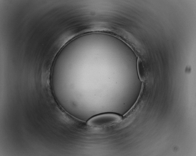 X0000103321177200809261129